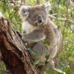 Copywriters help customers see your best self Copywriters help customers see your best self